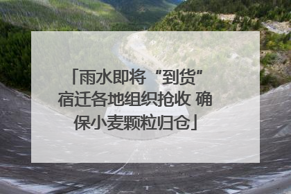 雨水即将“到货” 宿迁各地组织抢收 确保小麦颗粒归仓