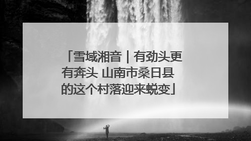 雪域湘音｜有劲头更有奔头 山南市桑日县的这个村落迎来蜕变