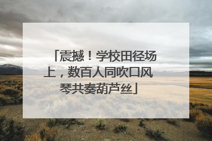震撼！学校田径场上，数百人同吹口风琴共奏葫芦丝