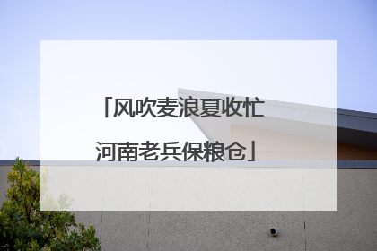 风吹麦浪夏收忙 河南老兵保粮仓