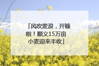 风吹麦浪，开镰啦！顺义15万亩小麦迎来丰收