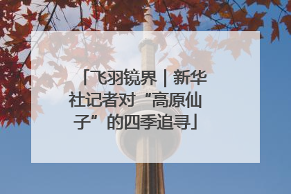 飞羽镜界｜新华社记者对“高原仙子”的四季追寻