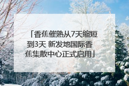 香蕉催熟从7天缩短到3天 新发地国际香蕉集散中心正式启用