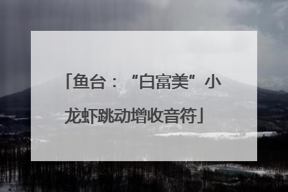 鱼台：“白富美”小龙虾跳动增收音符