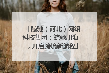 鲸驰（河北）网络科技集团：鲸驰出海，开启跨境新航程