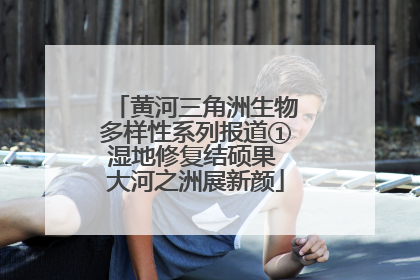 黄河三角洲生物多样性系列报道①湿地修复结硕果 大河之洲展新颜