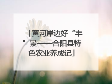黄河岸边好“丰”景——合阳县特色农业养成记