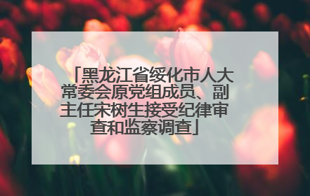 黑龙江省绥化市人大常委会原党组成员、副主任宋树生接受纪律审查和监察调查