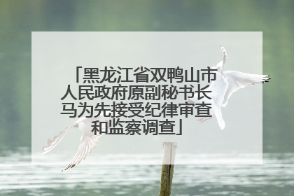 黑龙江省双鸭山市人民政府原副秘书长马为先接受纪律审查和监察调查