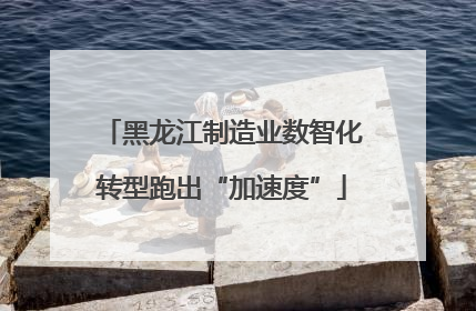 黑龙江制造业数智化转型跑出“加速度”