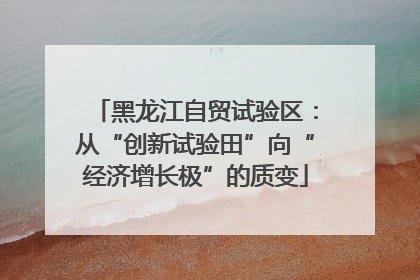 黑龙江自贸试验区：从“创新试验田”向“经济增长极”的质变