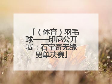 （体育）羽毛球——印尼公开赛：石宇奇无缘男单决赛