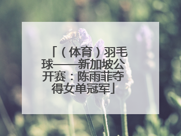（体育）羽毛球——新加坡公开赛：陈雨菲夺得女单冠军