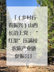 （乡村行·看振兴）山西长治上党：“红果”压满枝 农旅产业链促振兴