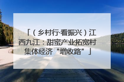 （乡村行·看振兴）江西九江：甜蜜产业拓宽村集体经济“增收路”