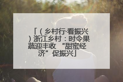 （乡村行·看振兴）浙江乡村：时令果蔬迎丰收 “甜蜜经济”促振兴