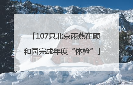 107只北京雨燕在颐和园完成年度“体检”