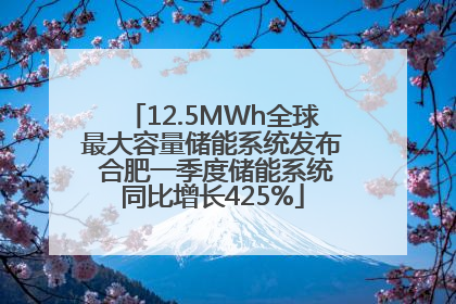12.5MWh全球最大容量储能系统发布 合肥一季度储能系统同比增长425%