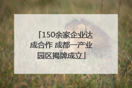 150余家企业达成合作 成都一产业园区揭牌成立