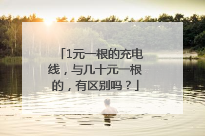 1元一根的充电线，与几十元一根的，有区别吗？