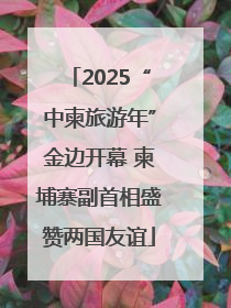 2025“中柬旅游年”金边开幕 柬埔寨副首相盛赞两国友谊