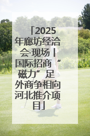 2025年廊坊经洽会·现场丨国际招商“磁力”足 外商争相向河北推介项目