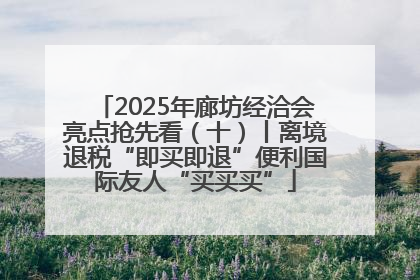 2025年廊坊经洽会亮点抢先看（十）丨离境退税“即买即退”便利国际友人“买买买”