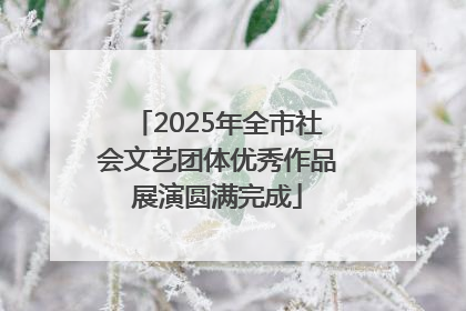 2025年全市社会文艺团体优秀作品展演圆满完成