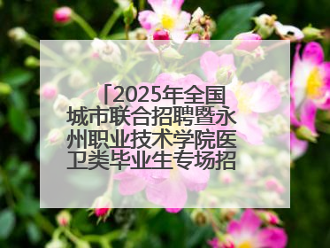 2025年全国城市联合招聘暨永州职业技术学院医卫类毕业生专场招聘会成功举办
