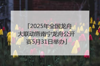 2025年全国龙舟大联动暨南宁龙舟公开赛5月31日举办
