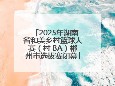 2025年湖南省和美乡村篮球大赛（村 BA）郴州市选拔赛闭幕