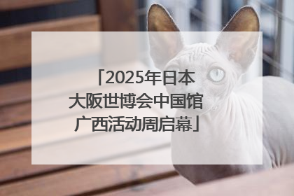 2025年日本大阪世博会中国馆广西活动周启幕