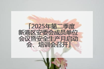 2025年第二季度新港区安委会成员单位会议暨安全生产月启动会、培训会召开