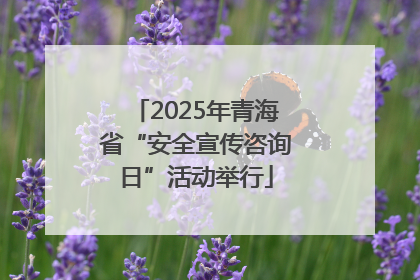 2025年青海省“安全宣传咨询日”活动举行