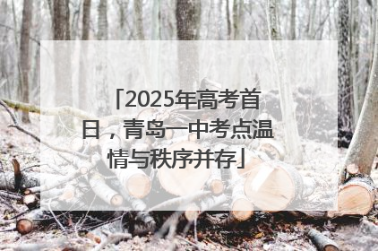 2025年高考首日，青岛一中考点温情与秩序并存