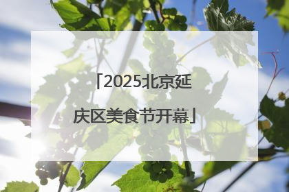2025北京延庆区美食节开幕