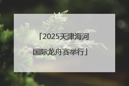2025天津海河国际龙舟赛举行