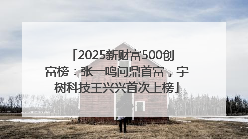 2025新财富500创富榜：张一鸣问鼎首富，宇树科技王兴兴首次上榜