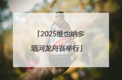 2025维也纳多瑙河龙舟赛举行