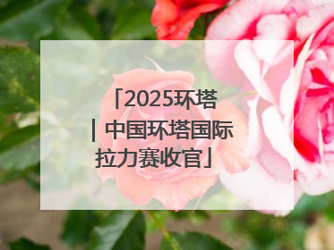 2025环塔｜中国环塔国际拉力赛收官