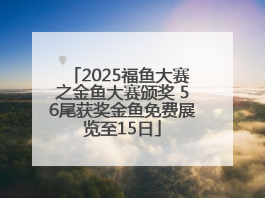 2025福鱼大赛之金鱼大赛颁奖 56尾获奖金鱼免费展览至15日