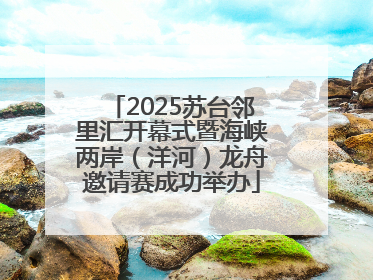 2025苏台邻里汇开幕式暨海峡两岸（洋河）龙舟邀请赛成功举办