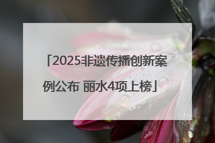 2025非遗传播创新案例公布 丽水4项上榜