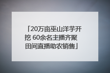 20万亩巫山洋芋开挖 60余名主播齐聚田间直播助农销售