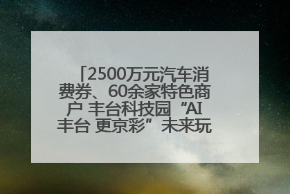 2500万元汽车消费券、60余家特色商户 丰台科技园“AI丰台 更京彩”未来玩家市集活动正式开幕