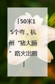 50米15个弯，杭州“猪大肠”路火出圈