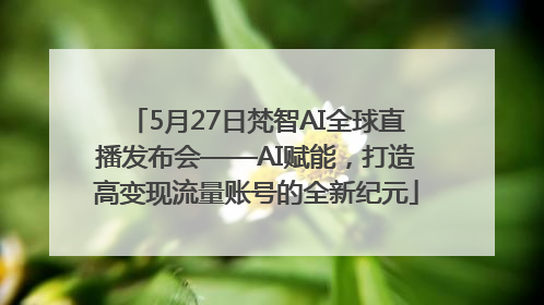 5月27日梵智AI全球直播发布会——AI赋能，打造高变现流量账号的全新纪元