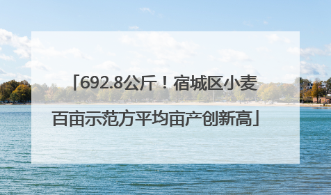 692.8公斤！宿城区小麦百亩示范方平均亩产创新高