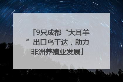 9只成都“大耳羊”出口乌干达，助力非洲养殖业发展