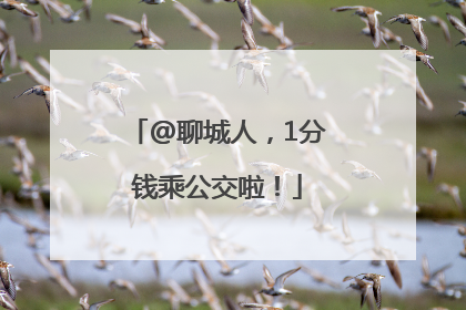 @聊城人，1分钱乘公交啦！